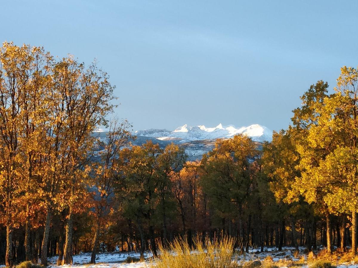 El Rondillo De Gredos Konuk evi Hoyos del Collado Dış mekan fotoğraf
