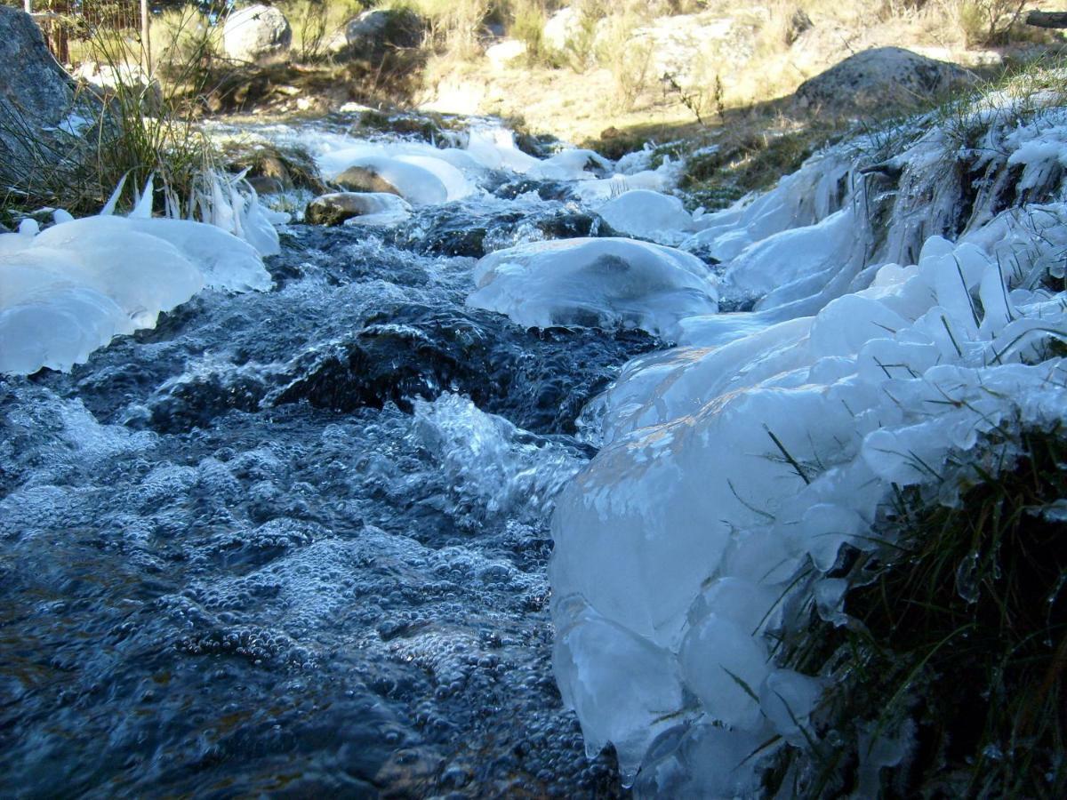El Rondillo De Gredos Konuk evi Hoyos del Collado Dış mekan fotoğraf